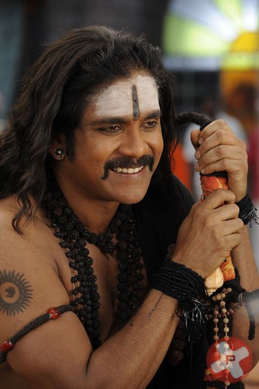 Nagarjuna In Adi Shankara Movie Stills | Picture 415242