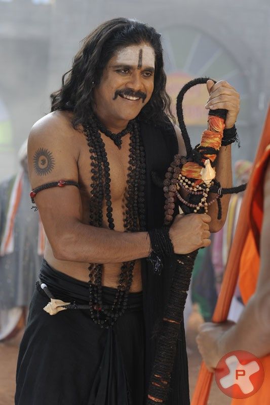 Nagarjuna In Adi Shankara Movie Stills | Picture 415250