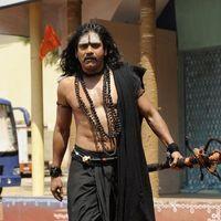 Nagarjuna In Adi Shankara Movie Stills | Picture 415243