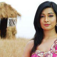 Radhika Pandit Latest Photo Shoot Gallery | Picture 415607