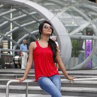 Radhika Pandit Latest Photo Shoot Gallery | Picture 415608