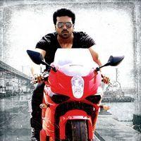 Ram Charan Teja - Yevadu Movie Latest Stills | Picture 416671