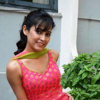 Disha Pandey at Full House Entertainement Movie Launch Pictures | Picture 418228