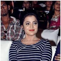 Nisha Agarwal Hot at Saradaga Ammayitho Audio Launch Photos | Picture 450487