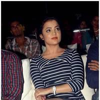 Nisha Agarwal Hot at Saradaga Ammayitho Audio Launch Photos | Picture 450540