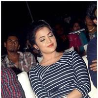 Nisha Agarwal Hot at Saradaga Ammayitho Audio Launch Photos | Picture 450555