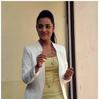 Nisha Agarwal at Sukumarudu Press Meet Photos | Picture 449721