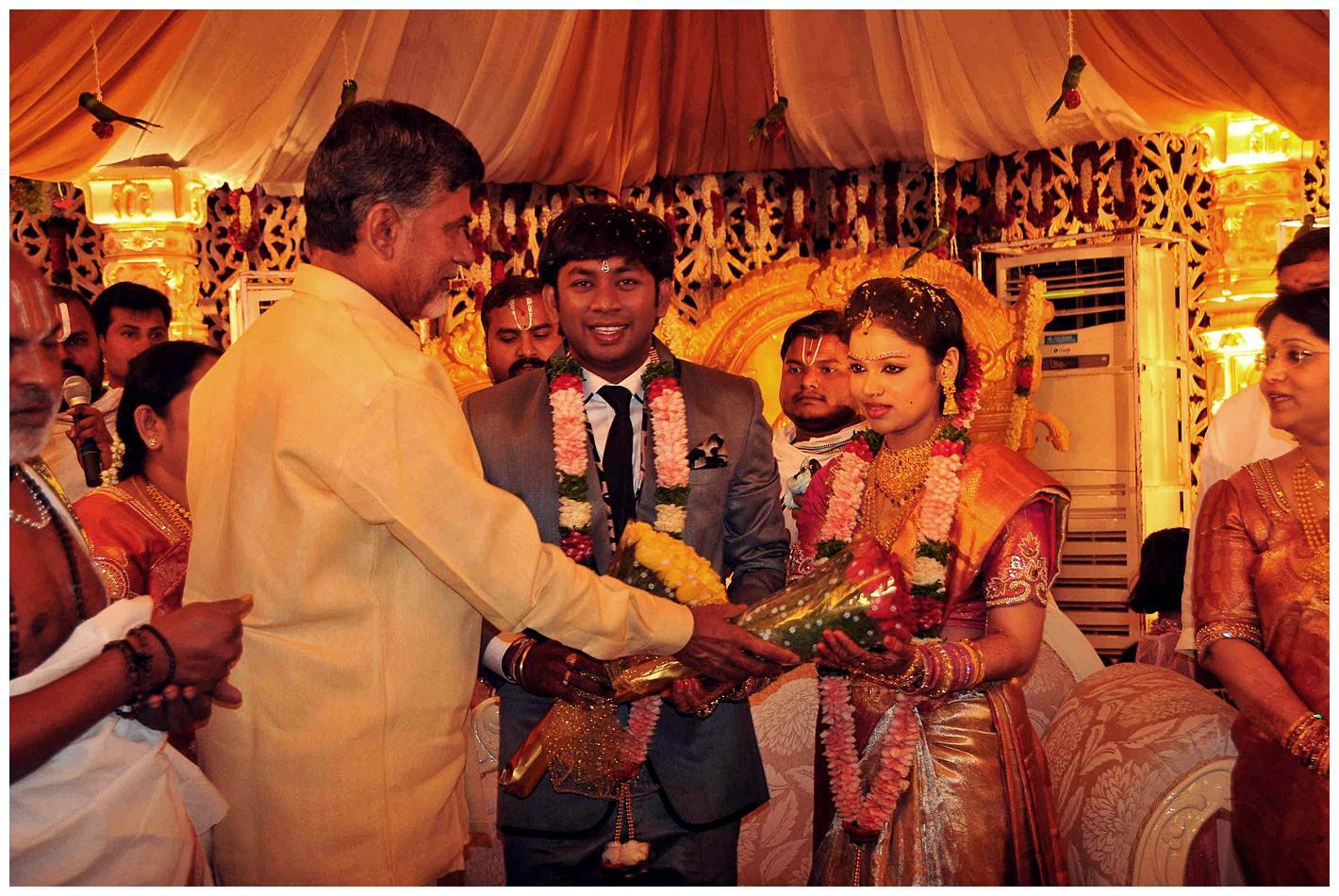 Nikhil Sister Sonali Wedding with Amarnath Reception Photos | Picture 456166