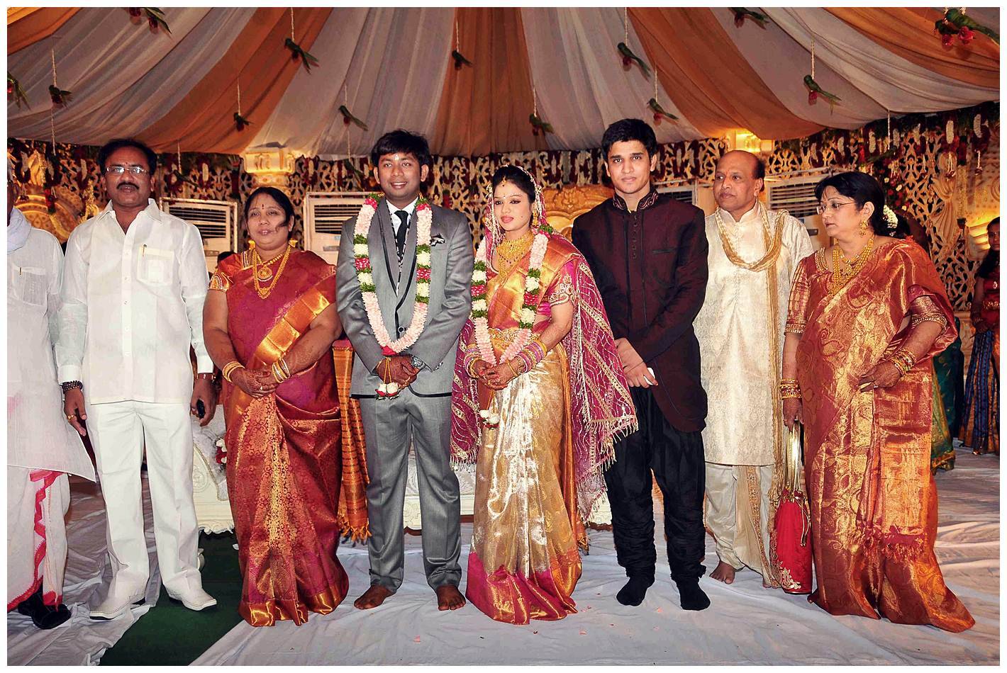 Nikhil Sister Sonali Wedding with Amarnath Reception Photos | Picture 456168