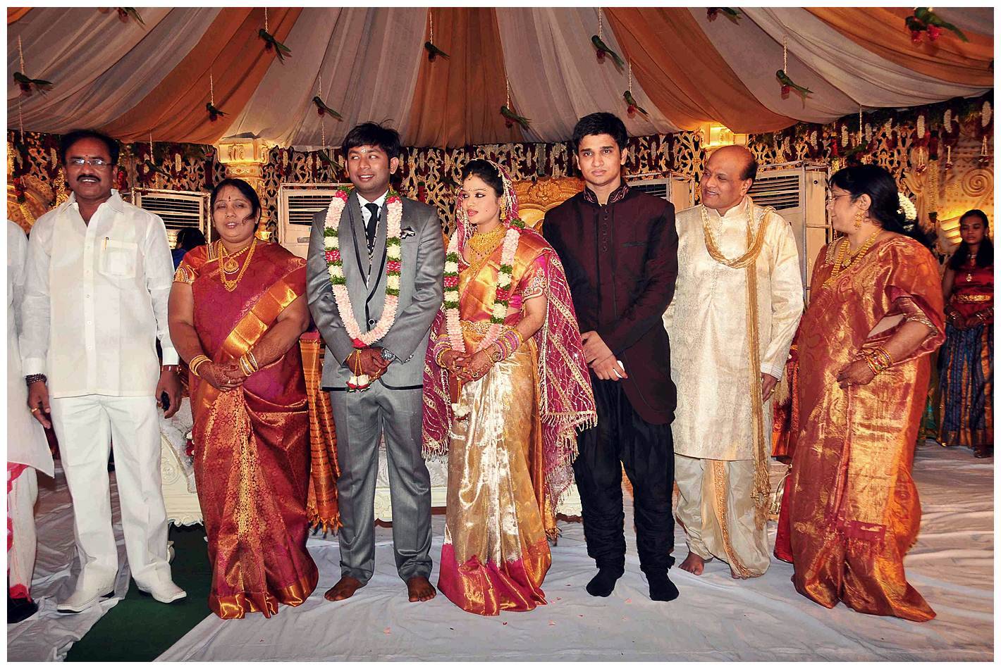 Nikhil Sister Sonali Wedding with Amarnath Reception Photos | Picture 456180