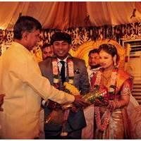 Nikhil Sister Sonali Wedding with Amarnath Reception Photos