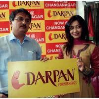 Payal Ghosh and Darpan Unveils Logo for the upcoming hi end Furnishing Showroom Photos | Picture 466121