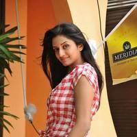 Vimala Raman in Jeans New Hot Photos | Picture 559258