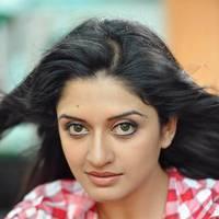Vimala Raman in Jeans New Hot Photos | Picture 559259