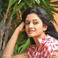 Vimala Raman in Jeans New Hot Photos | Picture 559261