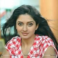 Vimala Raman in Jeans New Hot Photos | Picture 559262