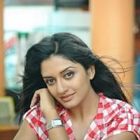 Vimala Raman in Jeans New Hot Photos | Picture 559275
