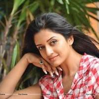 Vimala Raman in Jeans New Hot Photos | Picture 559281