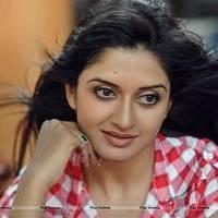 Vimala Raman in Jeans New Hot Photos | Picture 559287