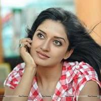 Vimala Raman in Jeans New Hot Photos | Picture 559291