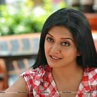 Vimala Raman in Jeans New Hot Photos | Picture 559300
