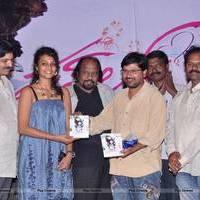 First Love Telugu Movie Audio Launch Photos | Picture 562237