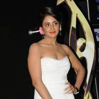 Celebs at SIIMA Awards 2013 Pre Party Event Photos | Picture 563464