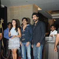 Celebs at SIIMA Awards 2013 Pre Party Event Photos | Picture 563735