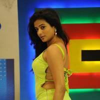 Priyamani - Chandi Movie Hot Stills | Picture 563202
