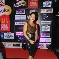Nikisha Patel at SIIMA Awards 2013 Pre Party Photos | Picture 563862