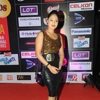 Nikisha Patel at SIIMA Awards 2013 Pre Party Photos | Picture 563863