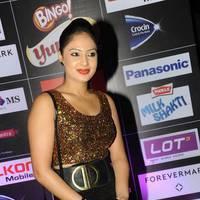 Nikisha Patel at SIIMA Awards 2013 Pre Party Photos | Picture 563867