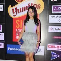 Trisha at SIIMA Awards 2013 Pre Party Photos | Picture 564018