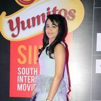 Trisha at SIIMA Awards 2013 Pre Party Photos | Picture 564020