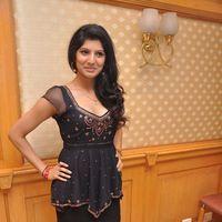 Joshna Interview for Marupadiyum Oru Kadhal Movie - Pictures | Picture 212865