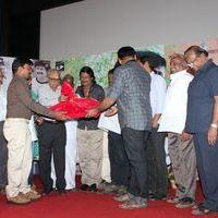 Kallapetty Movie Audio Launch Pictures | Picture 380781