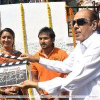D. Ramanaidu - Nede Chudandi Movie Opening Photos | Picture 393781