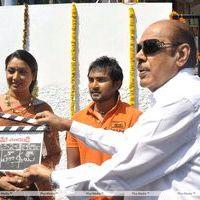 D. Ramanaidu - Nede Chudandi Movie Opening Photos | Picture 393782