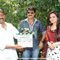 Srikanth Meka - Srikanth New Movie Launch Pictures | Picture 185390