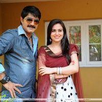Srikanth New Movie Launch Pictures | Picture 185408
