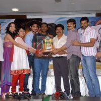 Lovely Movie Platinum Disc Function Photos | Picture 188893