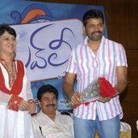Lovely Movie Platinum Disc Function Photos | Picture 188896