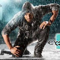 Julayi Movie Latest Wallpapers | Picture 243969