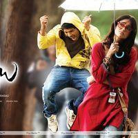 Julayi Movie Latest Wallpapers | Picture 243981