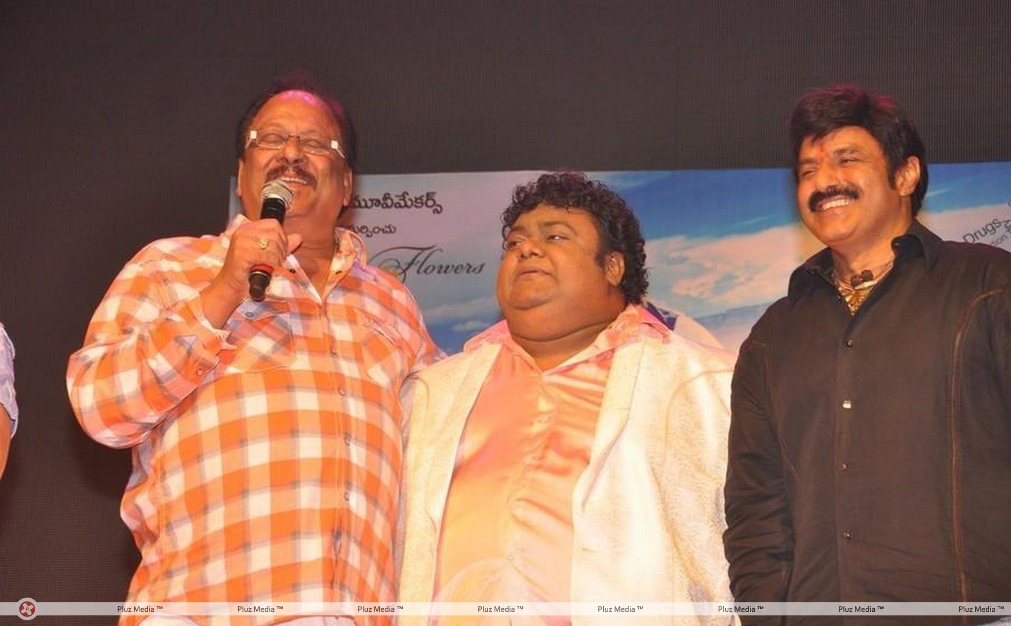Srimannarayana Movie Audio Release Pictures | Picture 245376