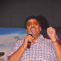 Srimannarayana Movie Audio Release Pictures | Picture 245264