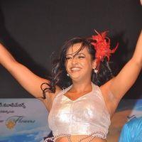 Srimannarayana Movie Audio Release Pictures | Picture 245268