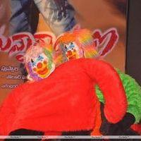 Srimannarayana Movie Audio Release Pictures | Picture 245291