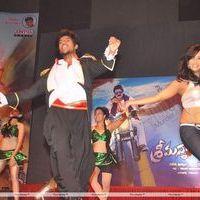 Srimannarayana Movie Audio Release Pictures | Picture 245306