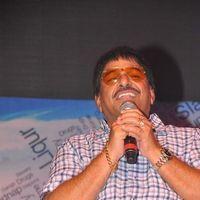 Srimannarayana Movie Audio Release Pictures | Picture 245333
